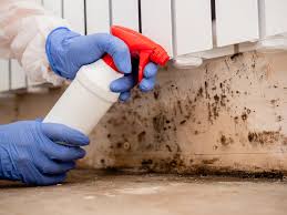 Best Mold Documentation for Insurance Claims  in Piketon, OH